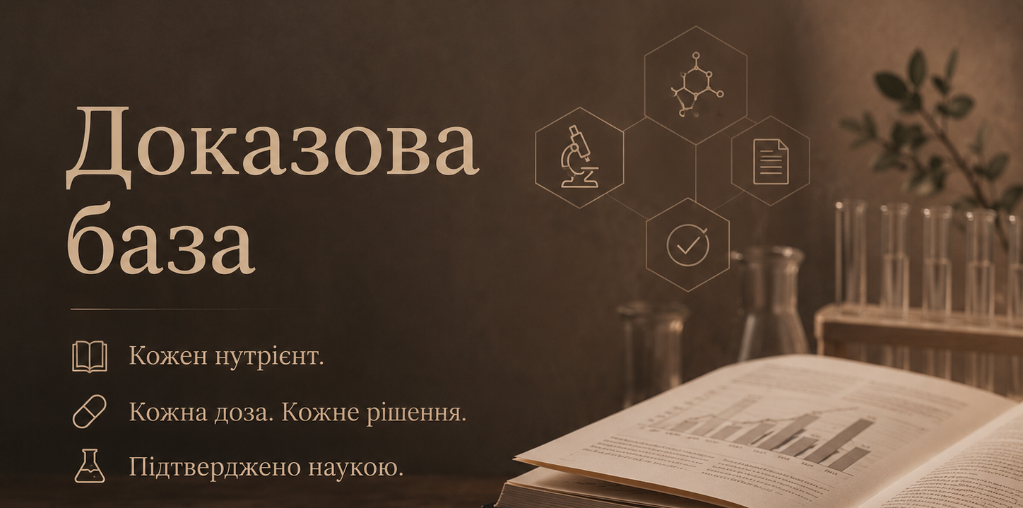 Dokazova Baza